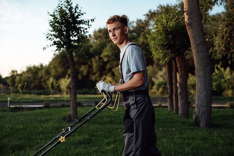 5 Commercial Lawn Equipment Mistakes to Avoid Sachse Lawn Mowers