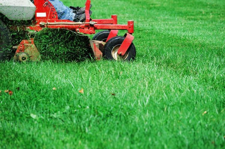 5 Tips For A Greener Texas Lawn Dallas Lawn Mower Store