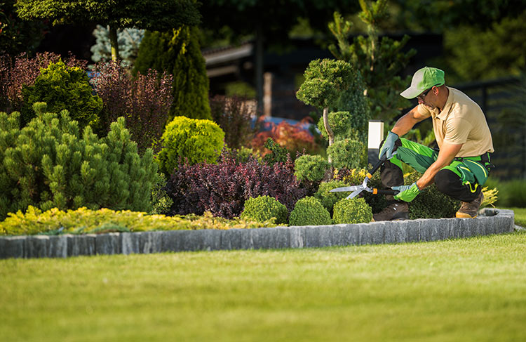 5 Tips To Avoid Mistakes As A Lawn Landscape Contractor Frisco Outdoor Power Tools