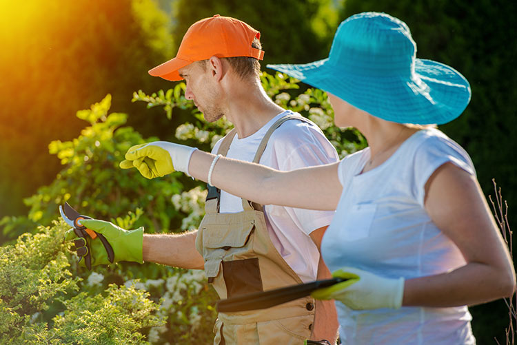 5 Tips to Avoid Mistakes as a Lawn Landscape Contractor Frisco Tx Outdoor Power Tools