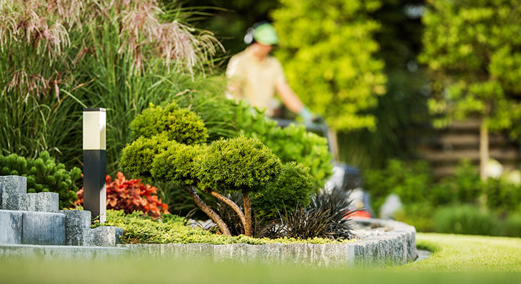Addressing Labor Shortages With Smarter Easier-To-Use Equipment Dfw Tx Mowers