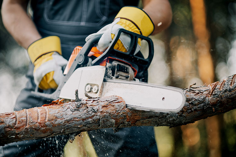Battery vs. Gas Chainsaws Whats Right for Your Landscaping Crew Dallas Chainsaws