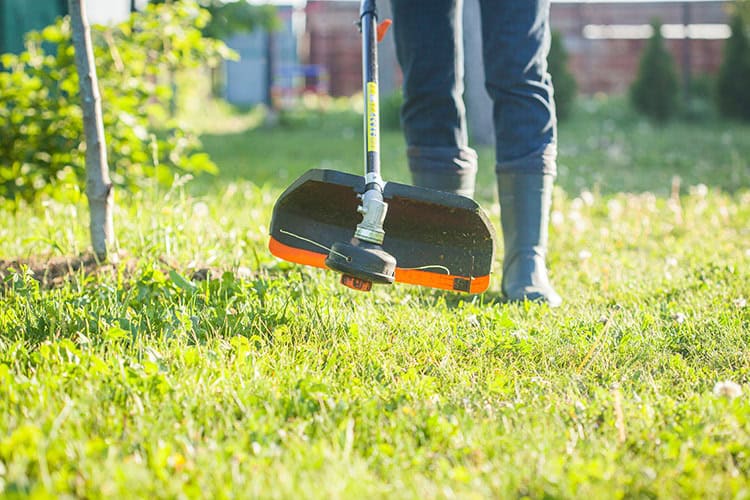 Choosing The Right Trimmer For Commercial Use Plano Tx Outdoor Power Equipment