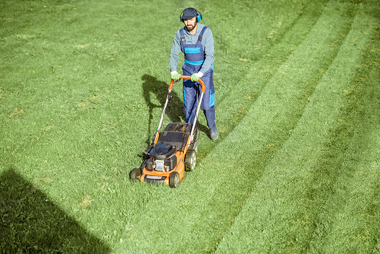 DFW Hiring + Training Green Industry Crews on Equipment Safety + Operation