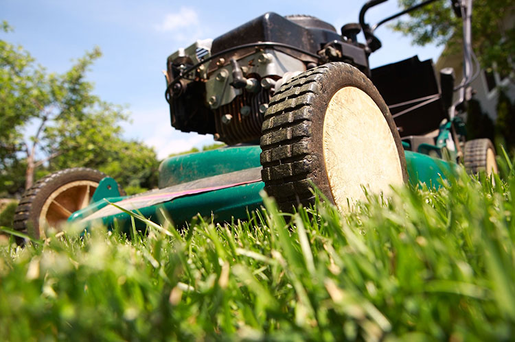 Gas vs. Battery-Powered Lawn Equipment What Works Best in the Texas Heat Dallas Tx Mowers