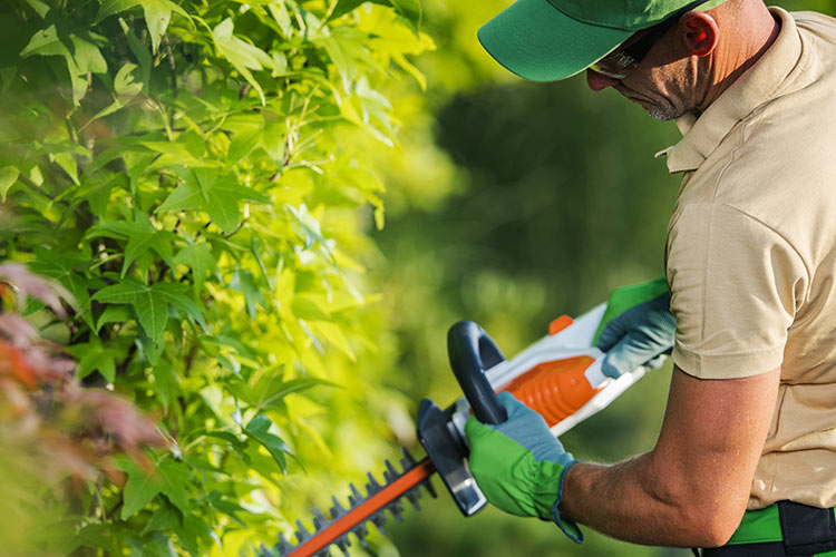 Here’s Why Investing in Commercial Grade Equipment Pays Off Mesquite Tx Mowers