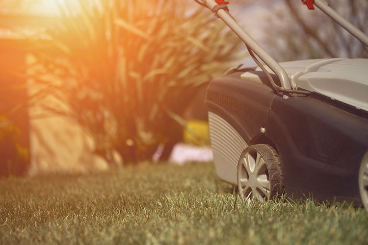 How Texas Drought Conditions Mow Schedules and Equipment Plano Mowers