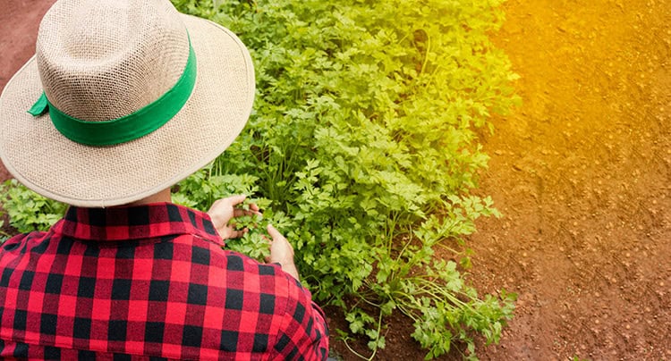 How To Keep Equipment Cool When Working Outdoors Dallas Lawn Mowers