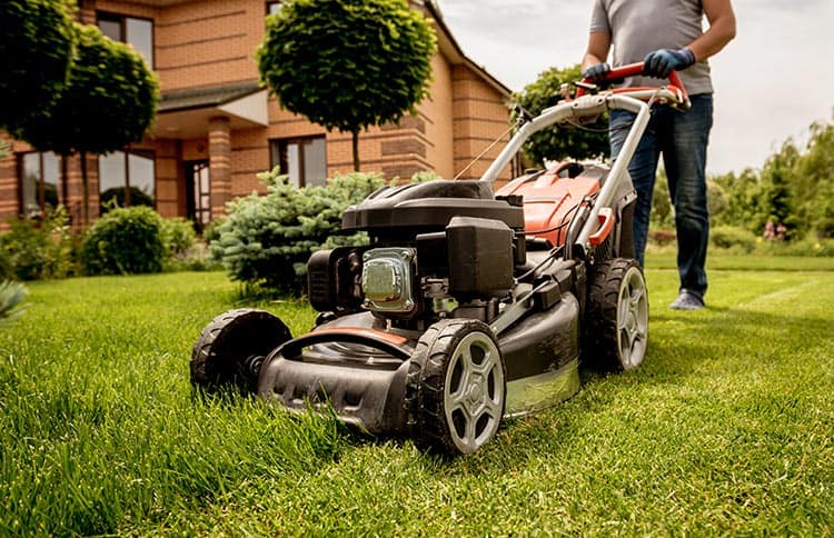 The Best Time to Mow Your Lawn in Texas and Why It Matters Garland Tx Yard Equipment