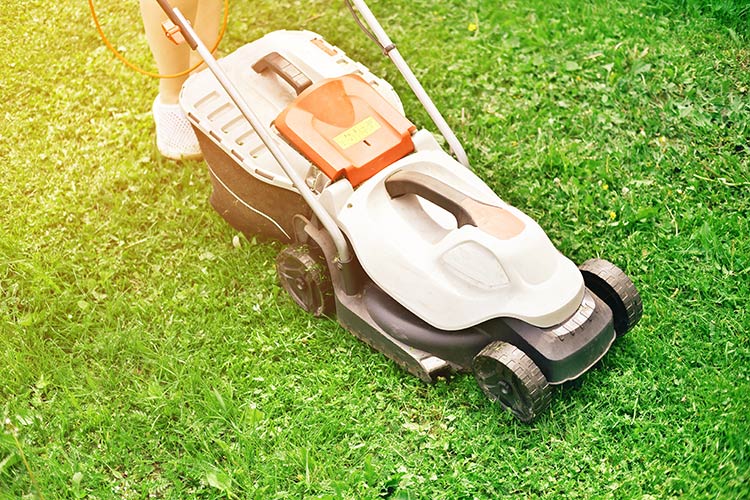 The Best Time To Mow Your Lawn In Texas And Why It Matters Garland Yard Equipment
