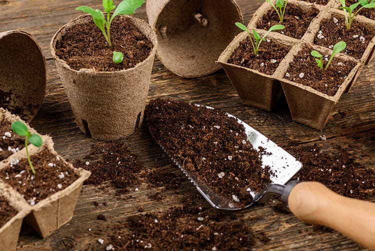 What Might Environmental Concerns about Peat Mean for Home and Commercial Gardening DFW Mowers