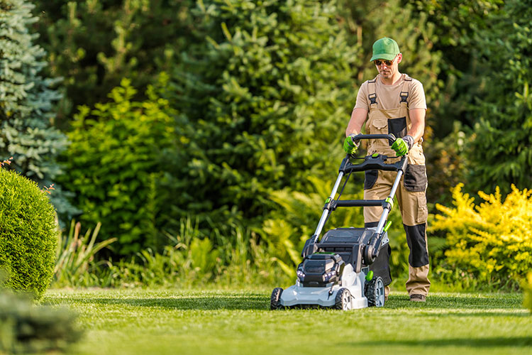 essential-quick-guide-lawn-mower-types Garland Tx Lawn Mowers
