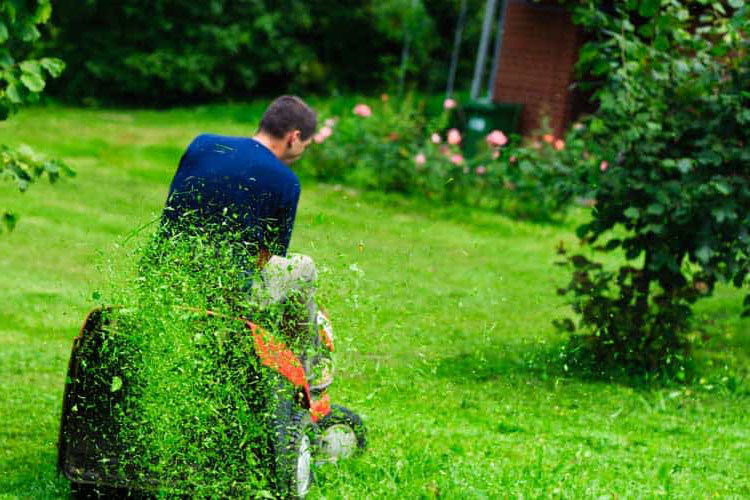 Essential-Quick-Guide-Lawn-Mower-Types Garland Lawn Mowers