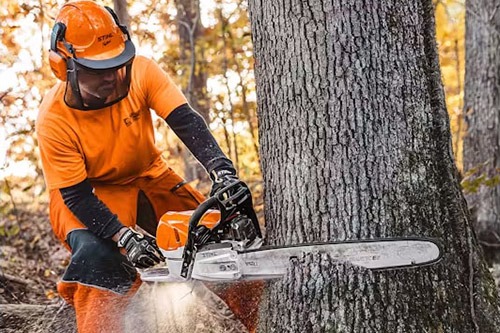 DFW-Chainsaws-for-trees-for-sale