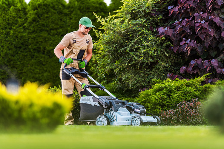 Looking for New Battery Powered Lawn Equipment Check Out EGO Cordless Electric Tools DFW Lawnmowers