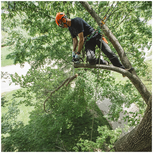 Stihl MS 194T In-Tree Professional Chainsaw - Image 3