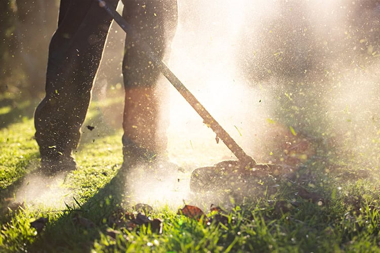 10 Tips for Dallas Lawn Care Companies to Thrive this Summer Denton Lawnmowers