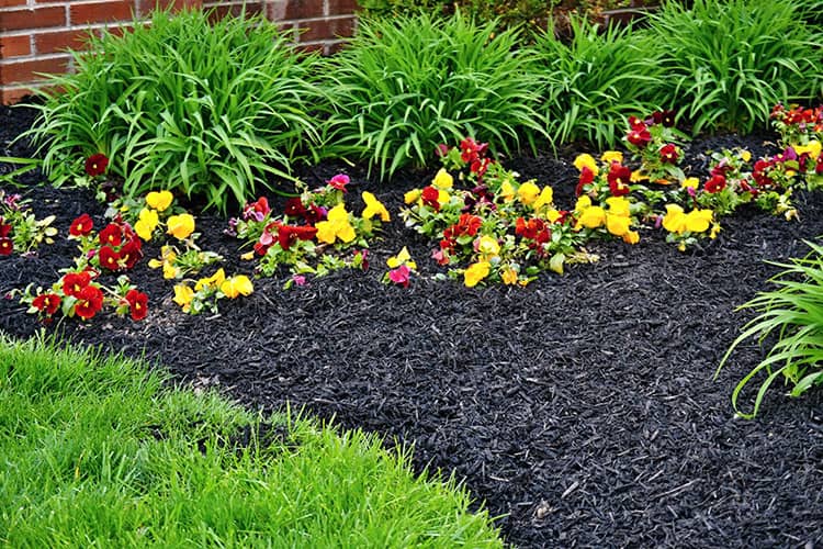 10 Tips to Get the Lawn and Garden Ready for Texas Summers Rockwall Lawn Mowers