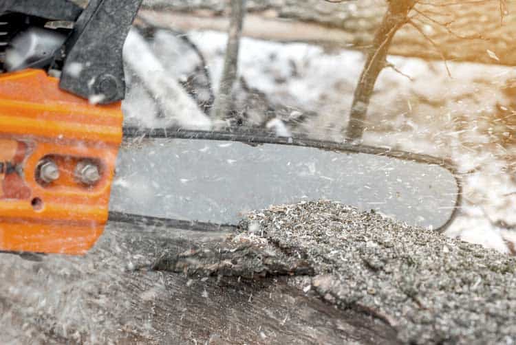 how-to-care-for-chain-saw-in-winter