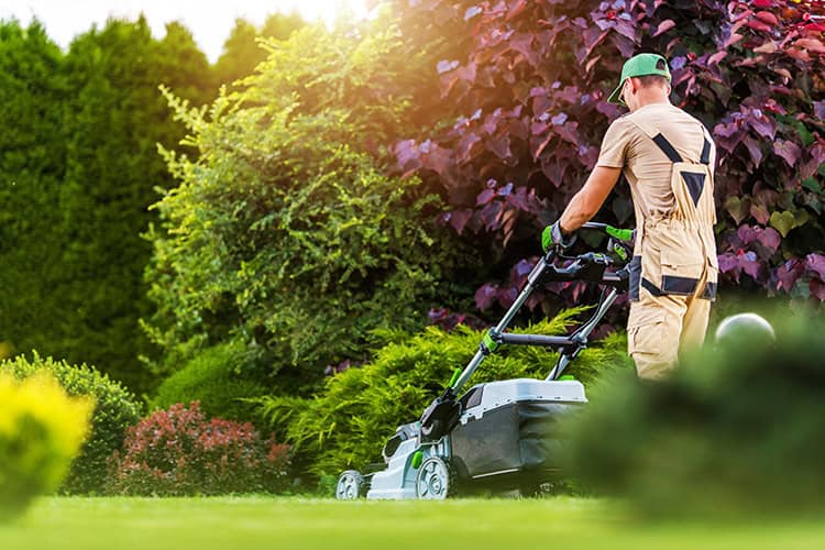 5 Tips To Get Your Lawn and Landscaping Company Ready for Summer Dallas Lawn Mowers