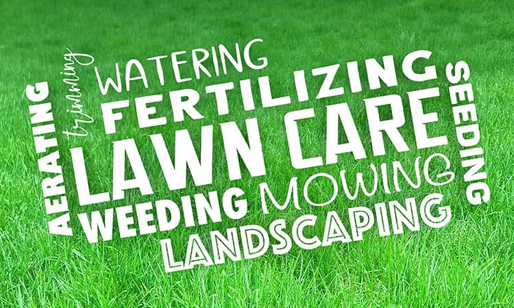 5 Ways to Grow and Diversify Your Lawn Care Business in DFW Area