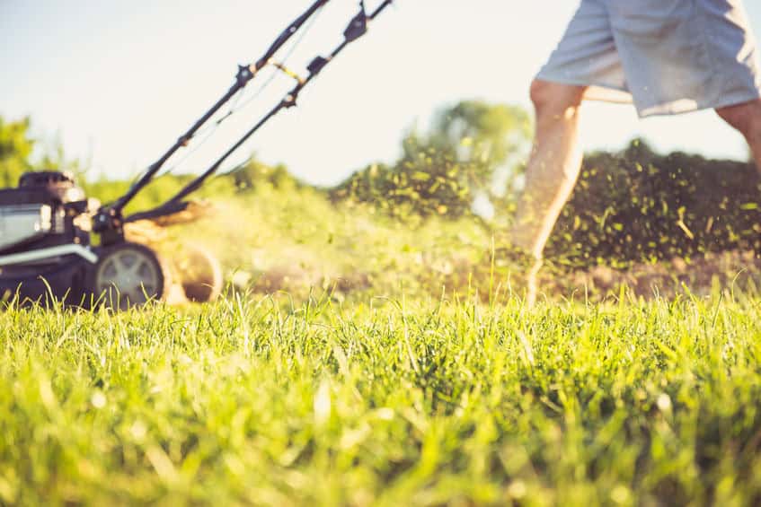 spring lawn care equipment near me in mckinney