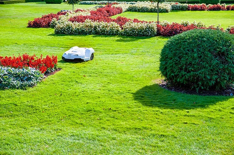 Answers to Your Top 5 Questions About Robot Lawn Mowers DFW Lawncare