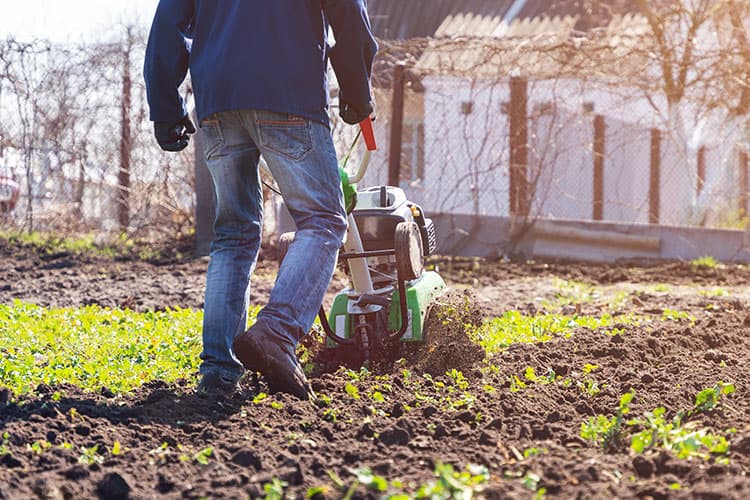 Beginners Guide to Vegetable Garden Tillers Allen Lawn Care Equipment