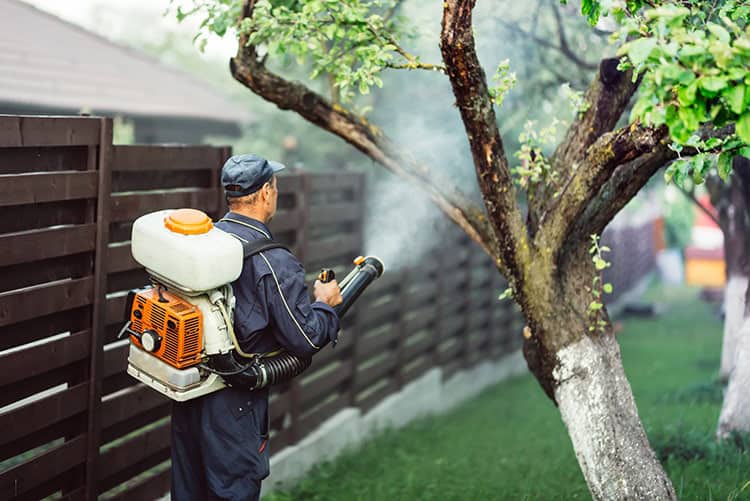 Convenient, Versatile Backpack Sprayers from Stihl Forney Yard Equipment