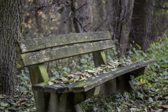 clean-garden-from-last-year-leaves