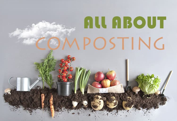 composting-101-simple-guide-by-richardsonsaw