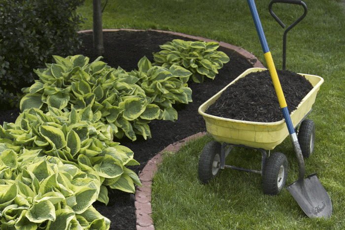 mulch-garden-beds