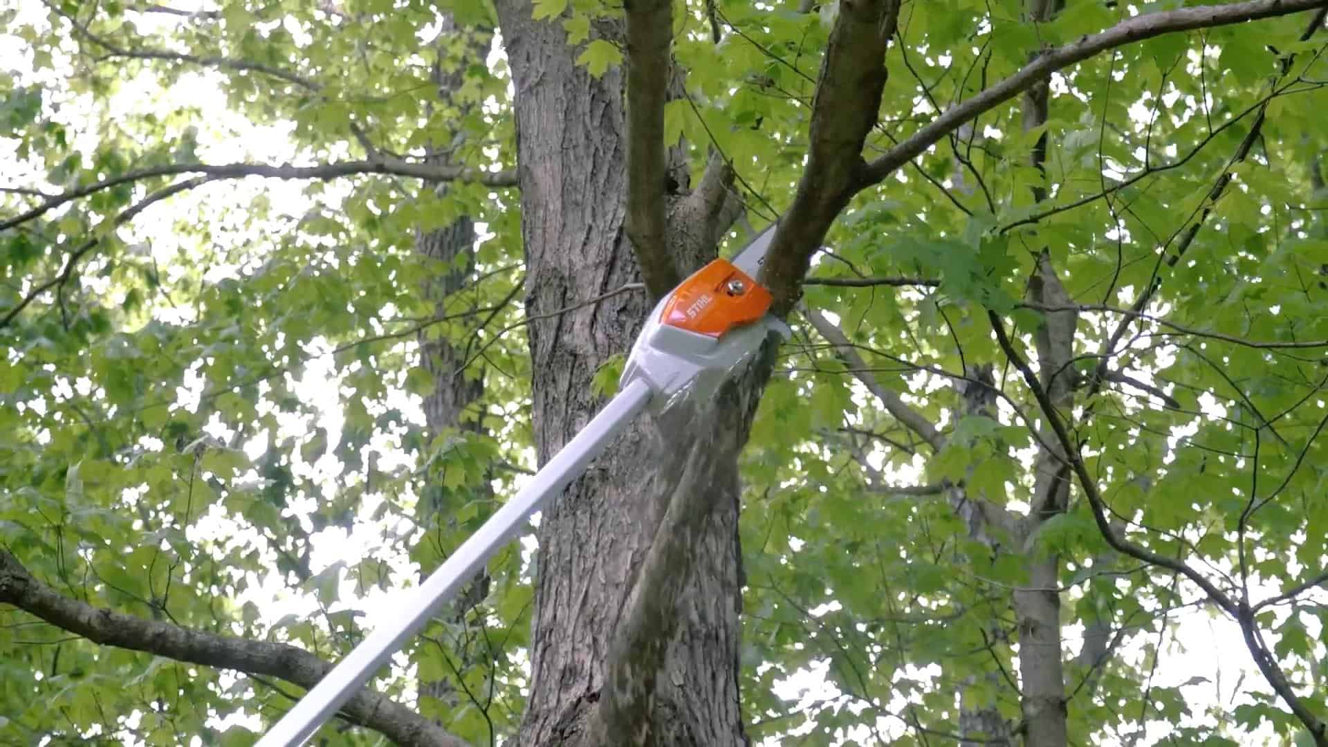 Pole Pruner Arborist Equipment Near Me