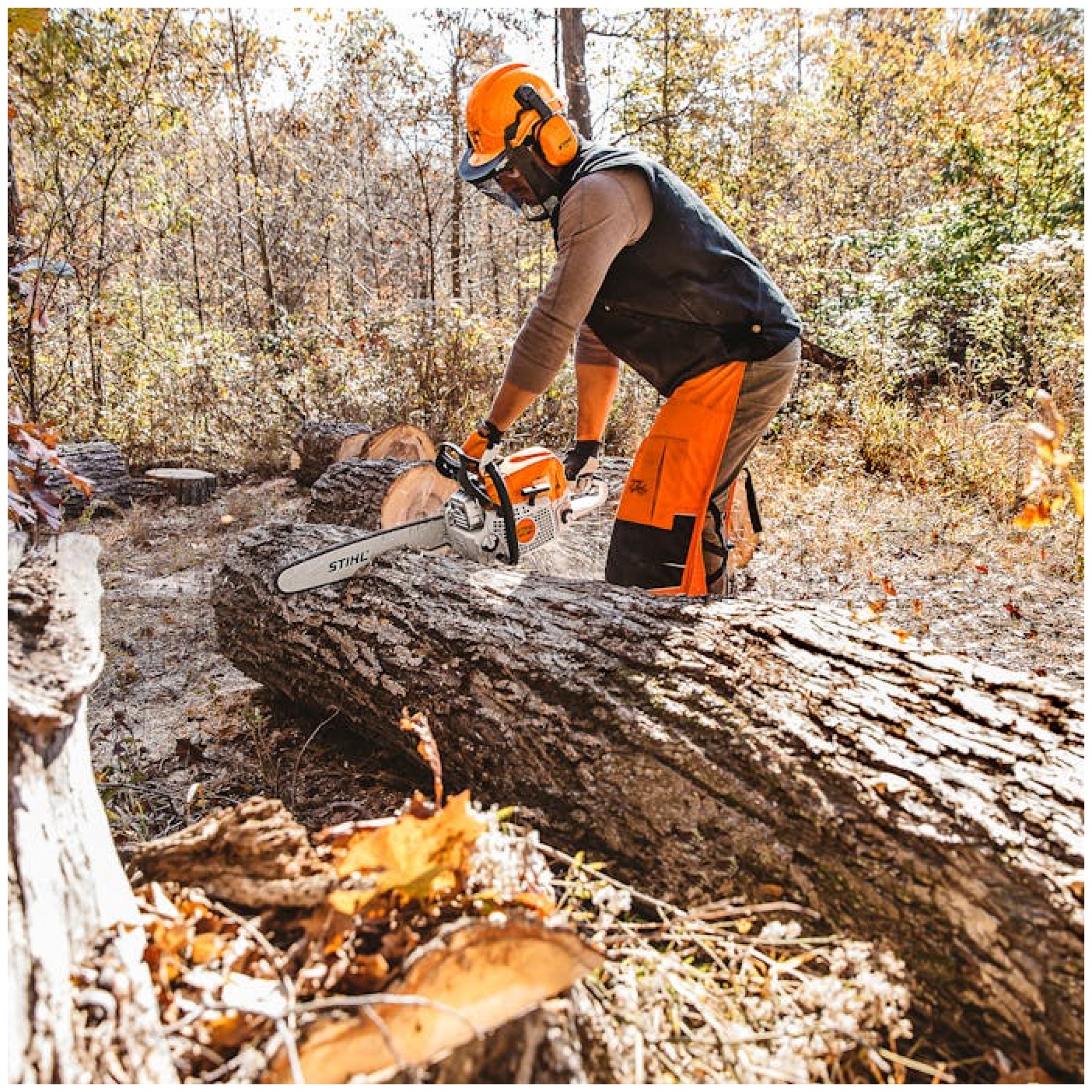 Stihl MS 391 Farm & Ranch Chainsaw | Richardson Saw Serving Plano TX