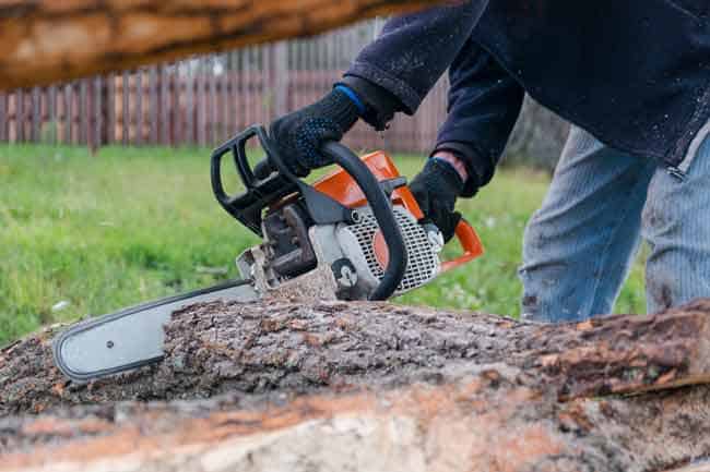 buy-new-chainsaw-wide-selection-brand-names