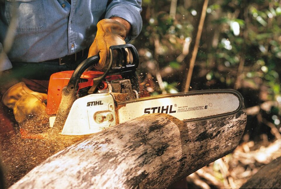 Choosing a chainsaw for cutting firewood