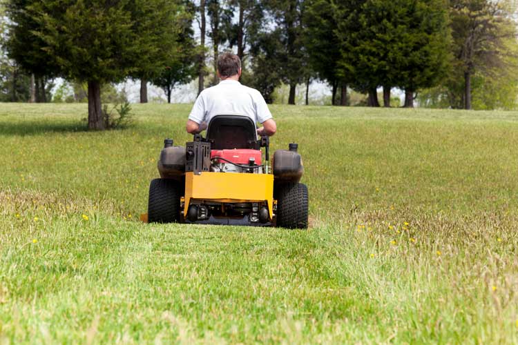 comfortable-lawn-equipment