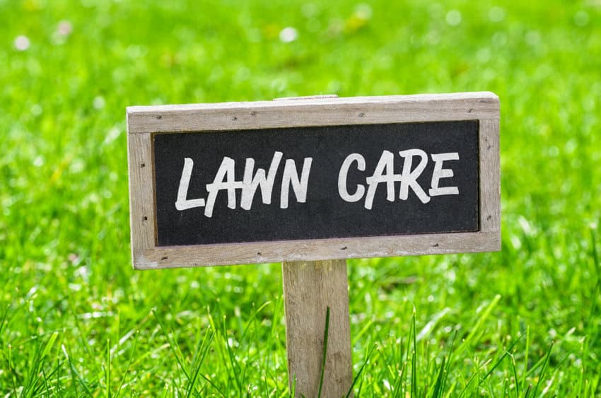 How to Care for a Lawn During Water Restrictions