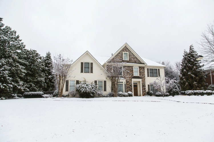 how-to-make-your-yard-look-gook-in-the-winter