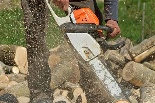 stihl-chainsaw-prices-distributor-near-me