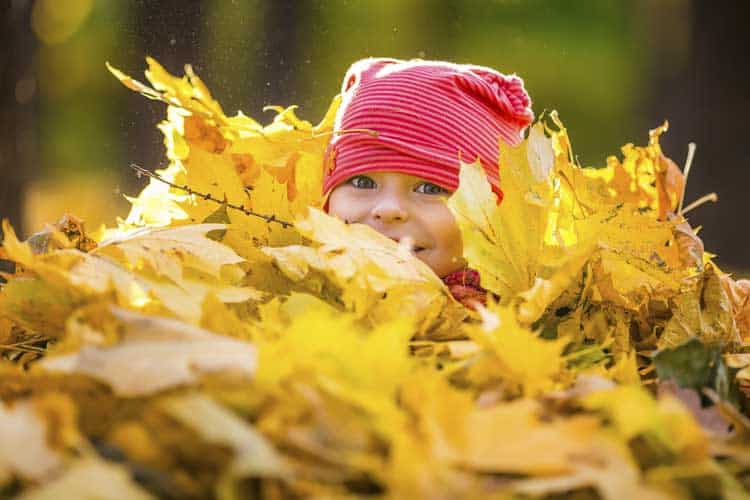 what-to-do-with-fall-leaves-in-your-backyard