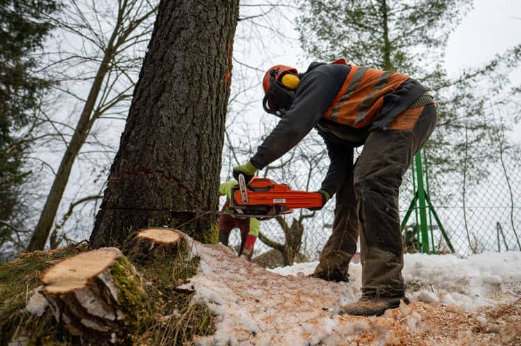  Important Chainsaw Safety Tips Flower Mound Chainsaw Store