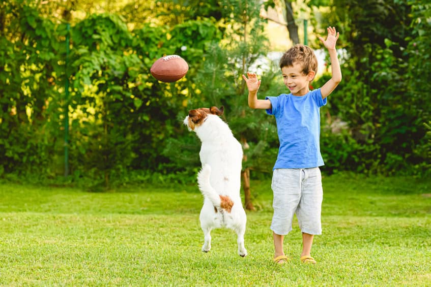 Natural Kid and Pet Safe Mosquito Repellent Spray