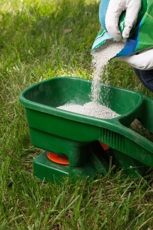 Late Summer Lawn Care