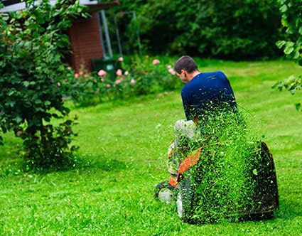 Lawn Mowing - Bagging Vs. Mulching