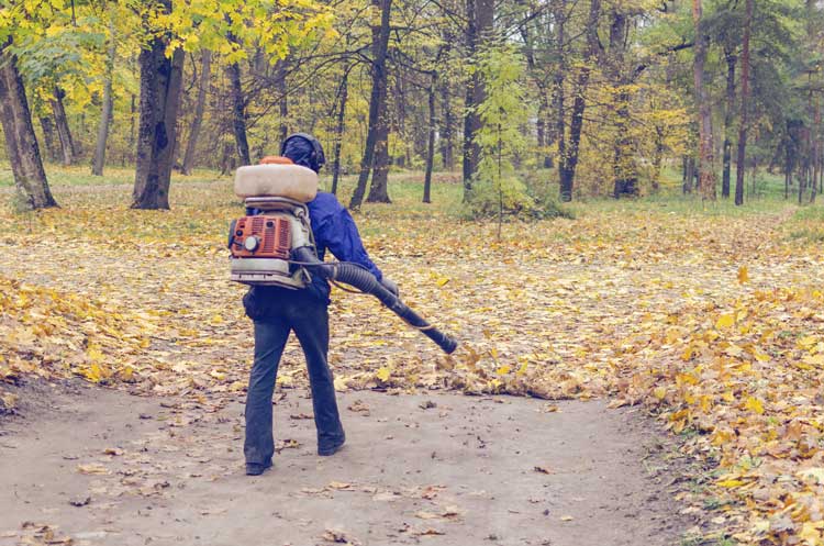 leafblowers-ban-is-that-really-help-anyone