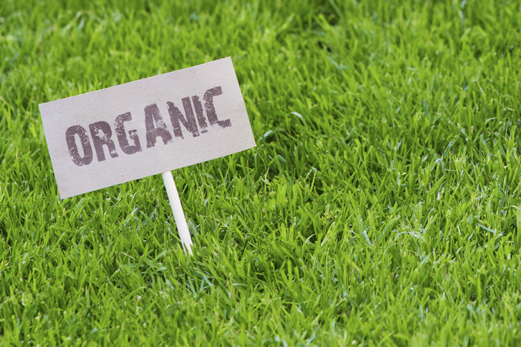 organic-lawn-care-offer-to-your-clients-why-organic-lawn-care-important