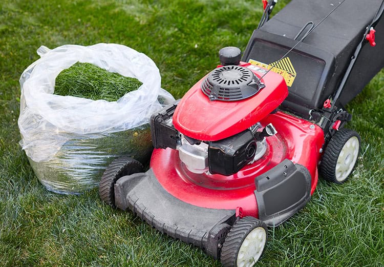 Mistakes and Neglected Maintenance That Can Ruin Your Lawn Equipment Dallas Lawn Mowers