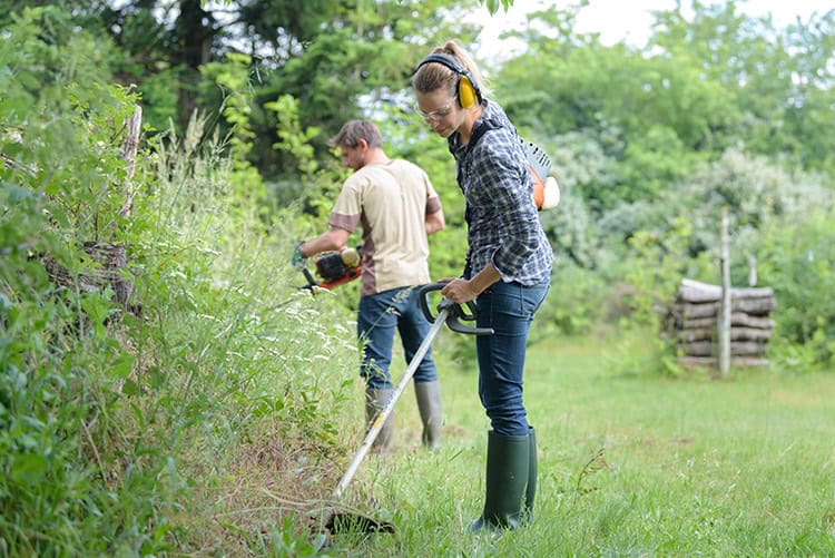 Mothers Day Lawn and Garden Gift Guide 2023 Farmers Branch Outdoor Power Equipment