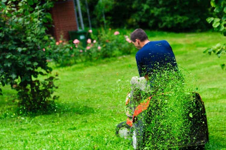 collect-mulch-discharge-mowers